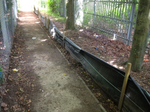 Reptile exclusion fencing