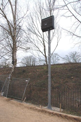Tunbridge Wells bat mitigation project
