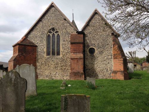 Wildlife surveys of churches and their grounds
